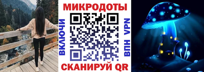 Псилоцибиновые грибы GOLDEN TEACHER  ОМГ ОМГ вход  Гай  купить закладку 