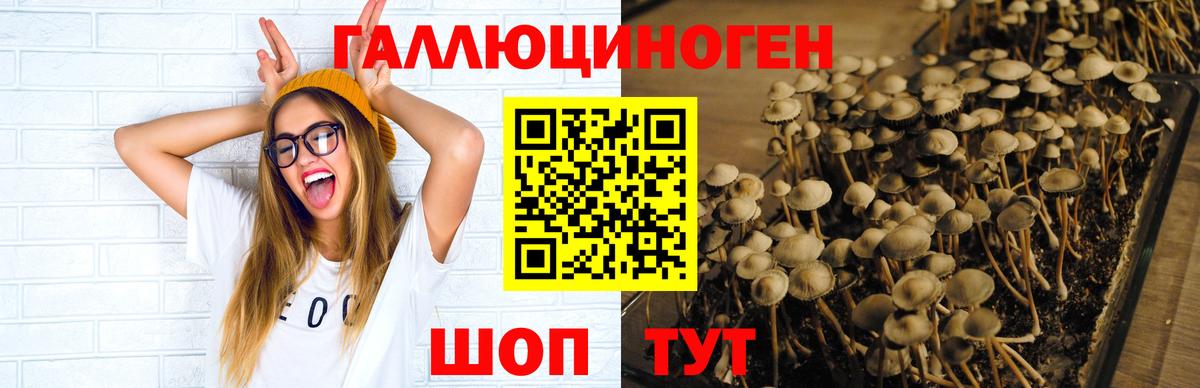 Гай  Галлюциногенные грибы мухоморы  Вход с VPN 